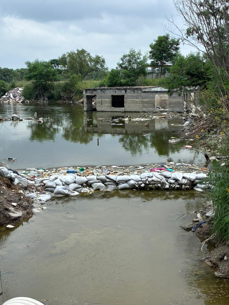 Imagen de la obra